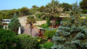 A garden with a stone wall, potted plants, and a pathway. - Ada Bacchus Hotel (Bozcaada)