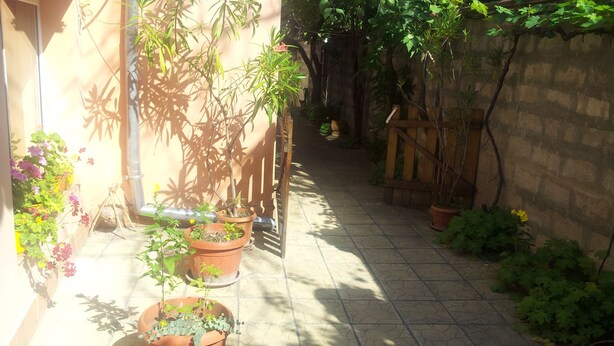 A narrow outdoor pathway lined with potted plants and a wooden fence. - Varna Apartments (Varna)