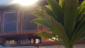 A kitchen with a potted plant, wooden cabinets, and a tiled backsplash. - Varna Apartments (Varna)