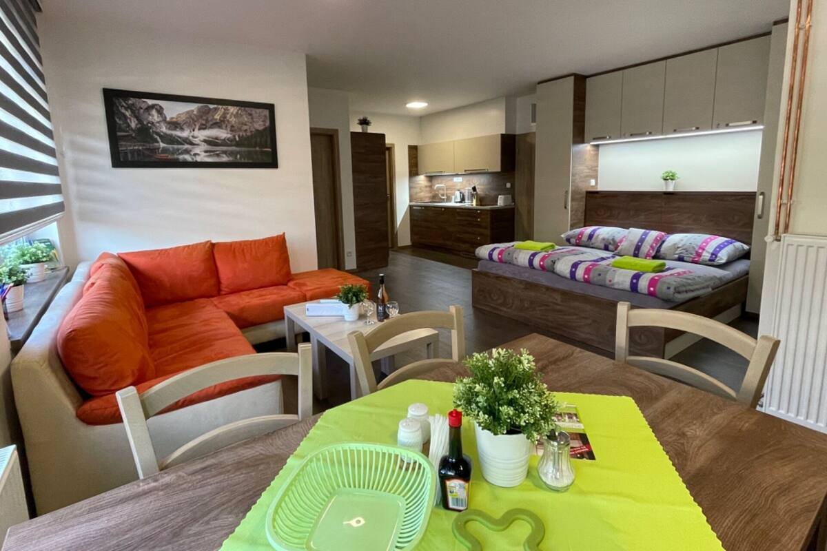 A modern apartment with a living area, dining table, and kitchenette.