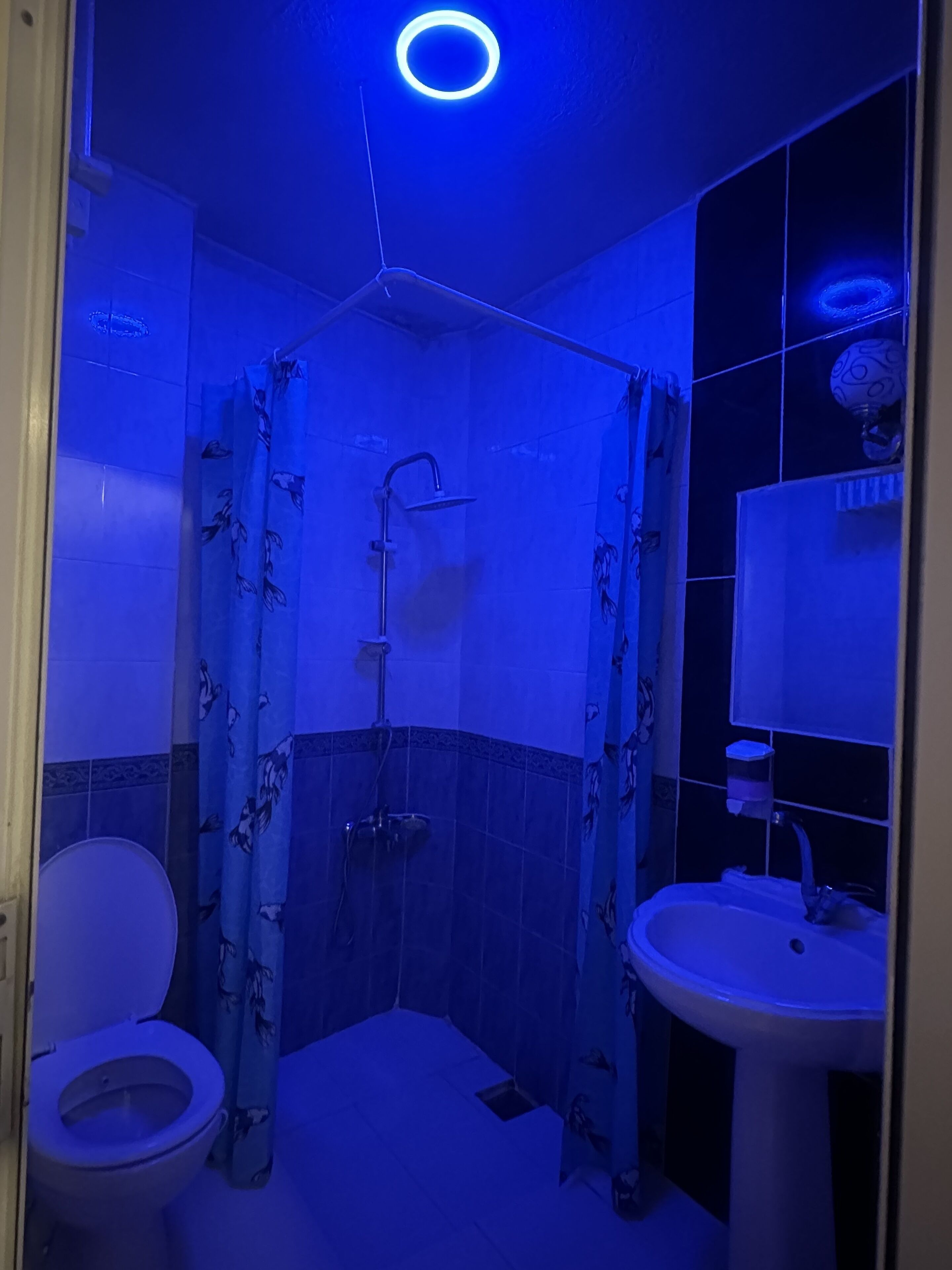 Photo - Mevlana Hotel