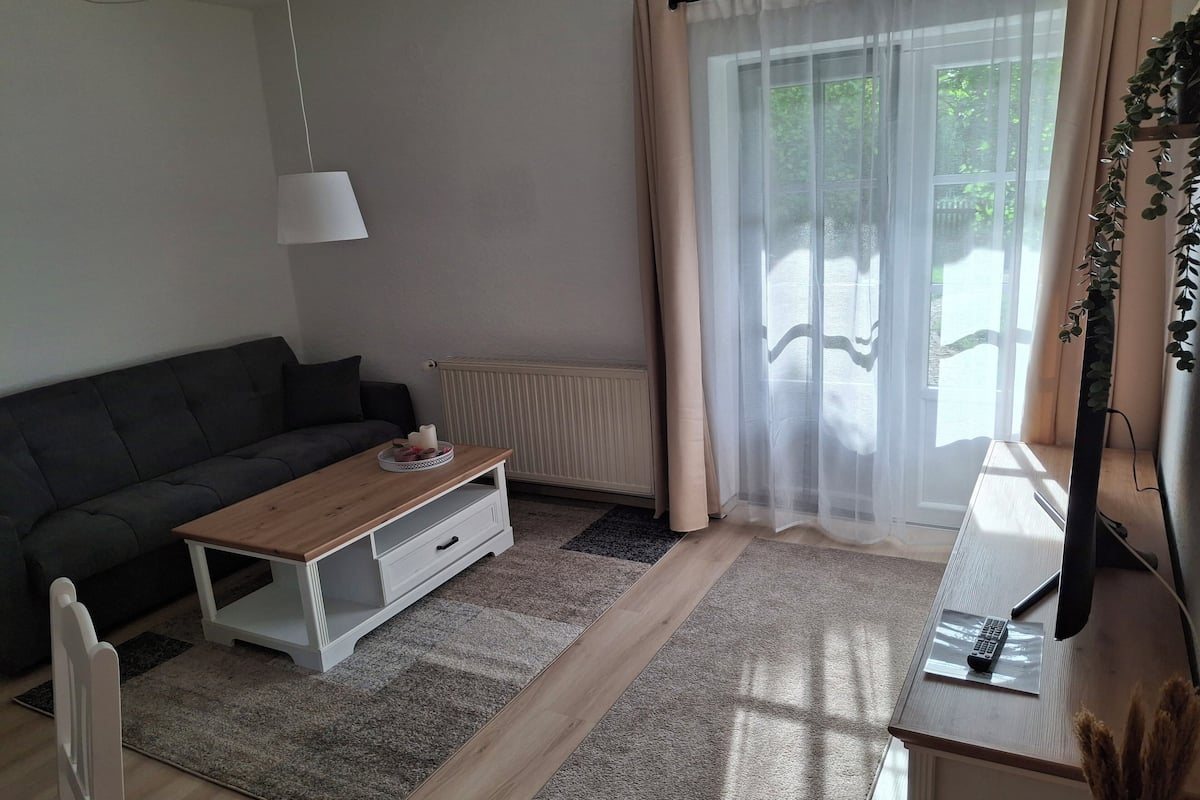 A modern living room with a sofa, a coffee table, a TV, and a radiator.