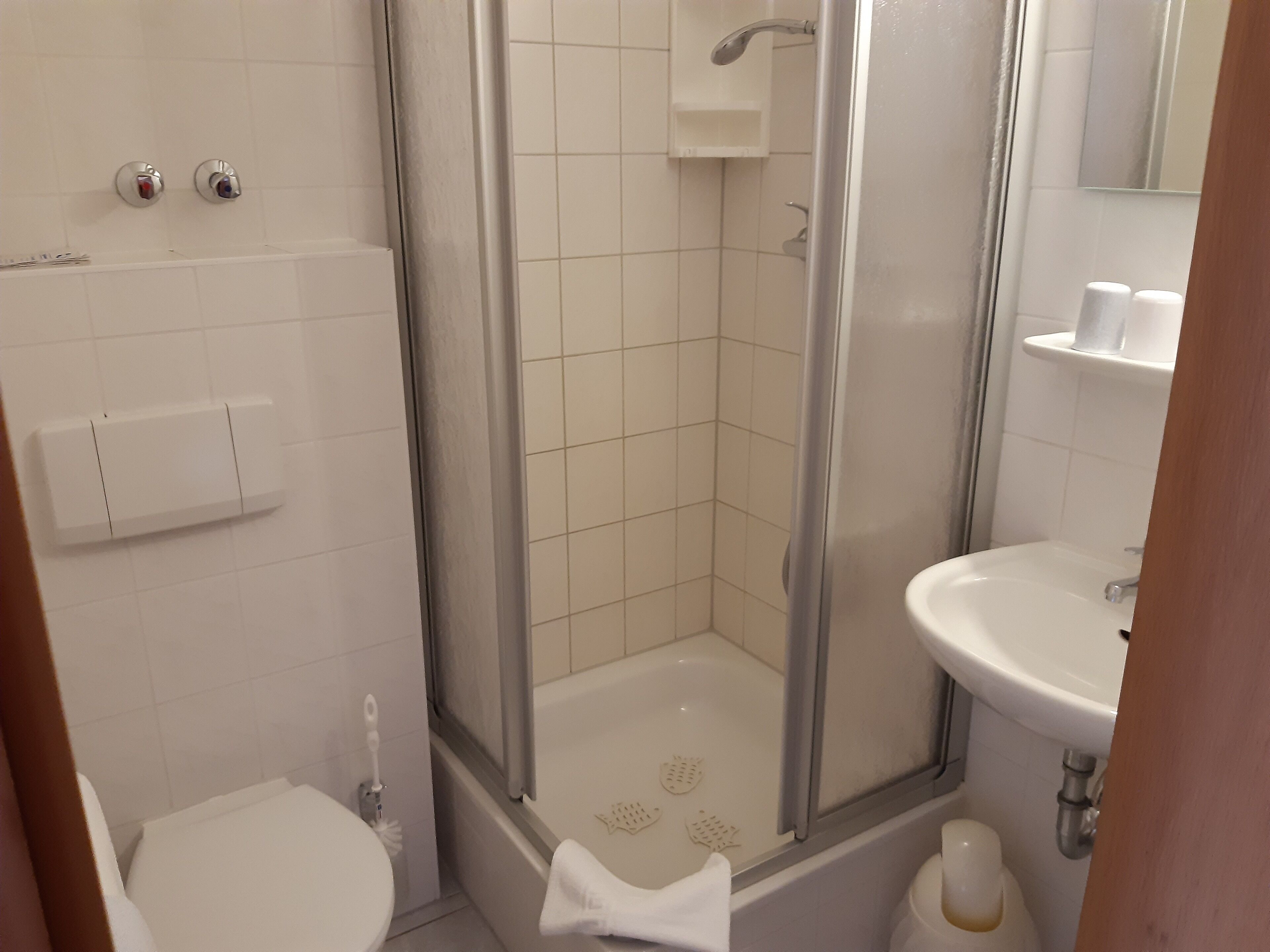 Ein Badezimmer mit einer Duschkabine, einem weißen Waschbecken und einer Toilette.
