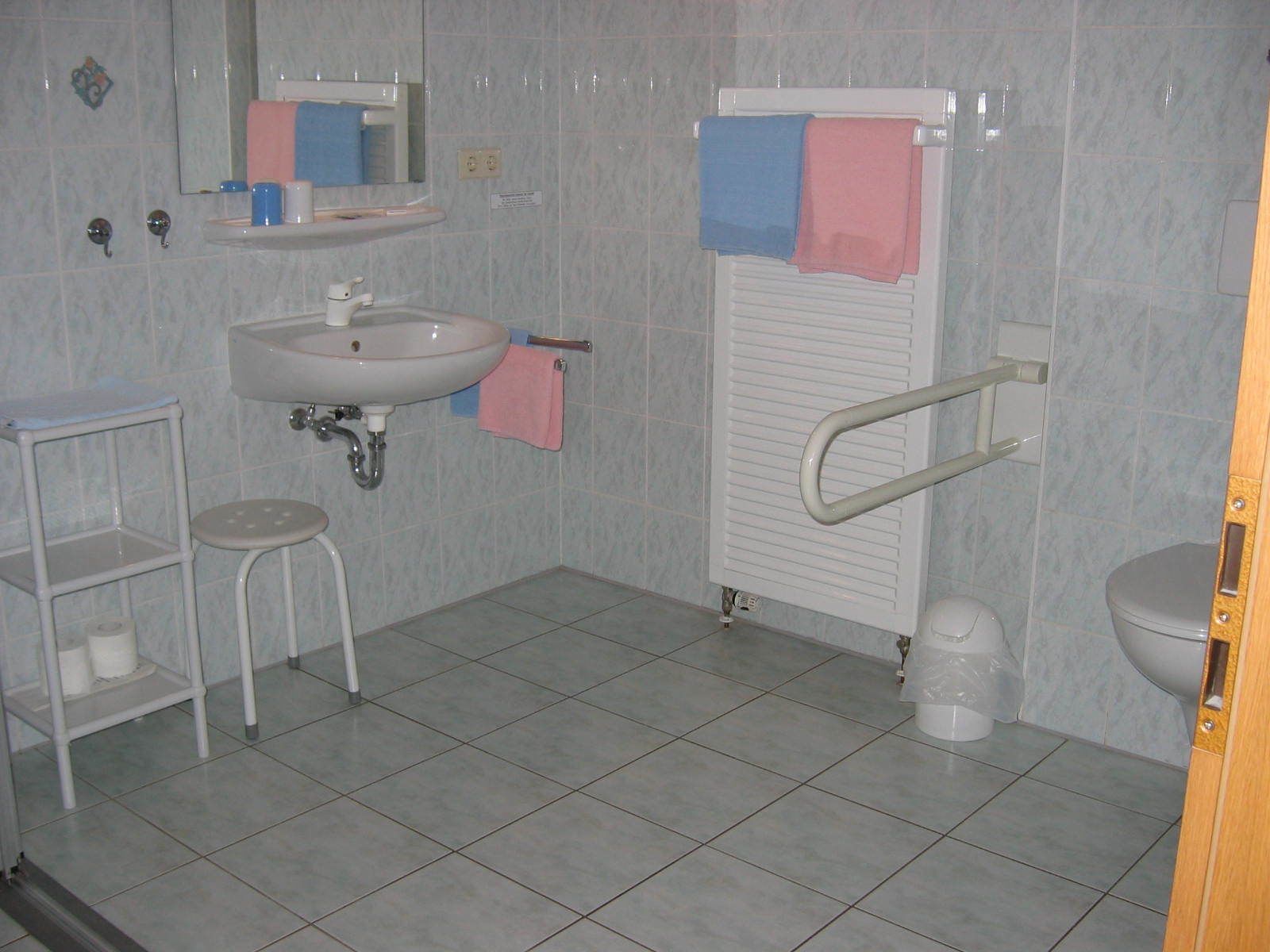Une petite salle de bain équipée d’un lavabo, d’un miroir, de toilettes et d’une barre d’appui.