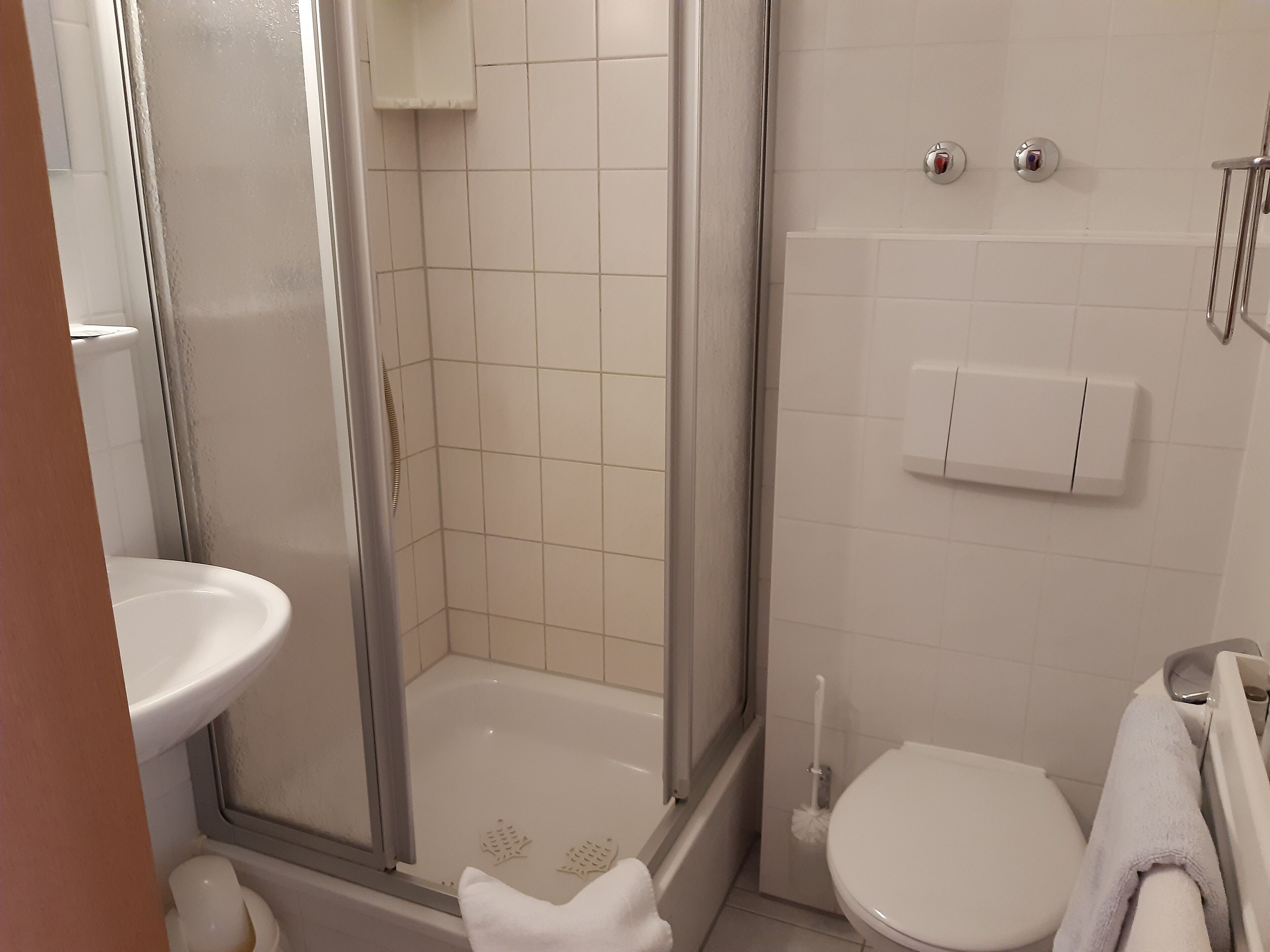 A bathroom with a glass-enclosed shower, a toilet, and a sink.