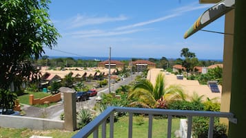 A residential area with houses, a road, and a view of the ocean.