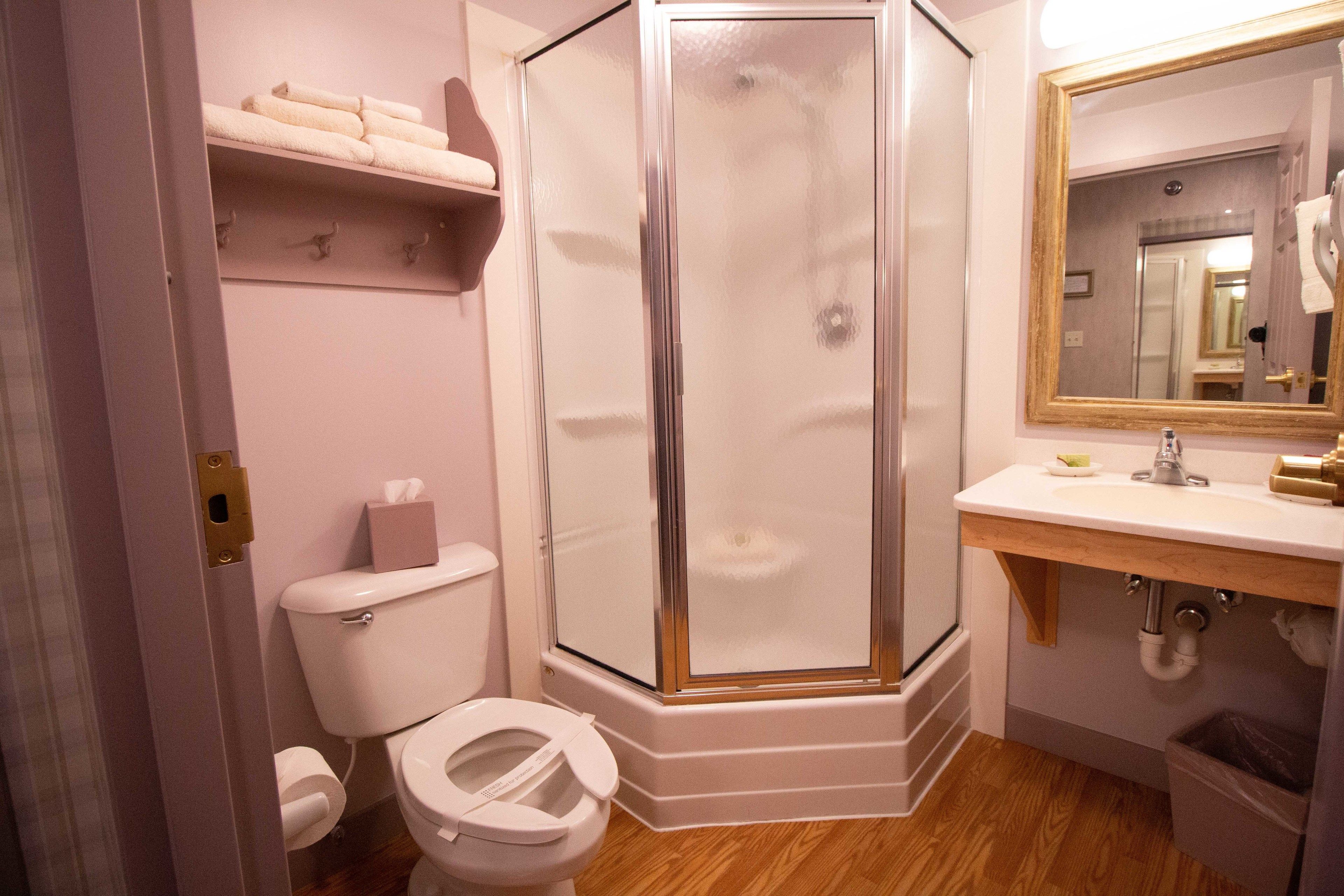 Une salle de bain comprenant des toilettes, une douche fermée par une paroi de verre, un lavabo avec un miroir et une étagère avec des serviettes.