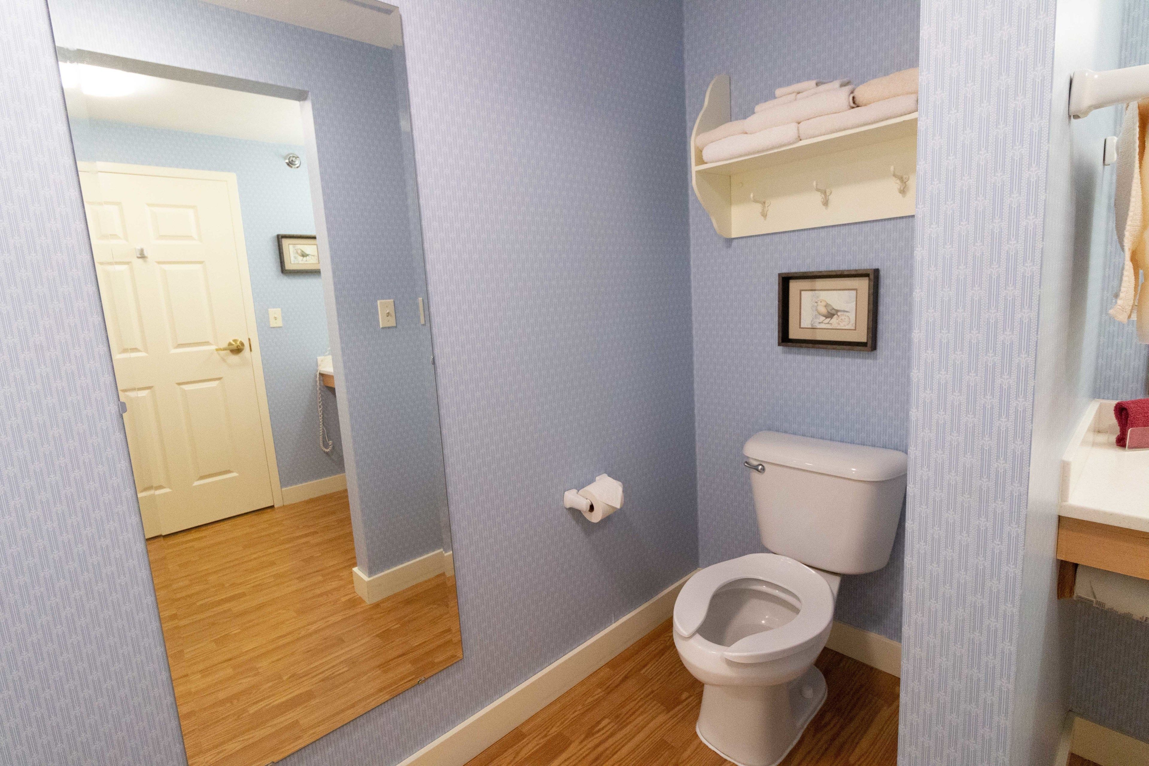 A bathroom with a toilet, a towel rack, and a mirror.