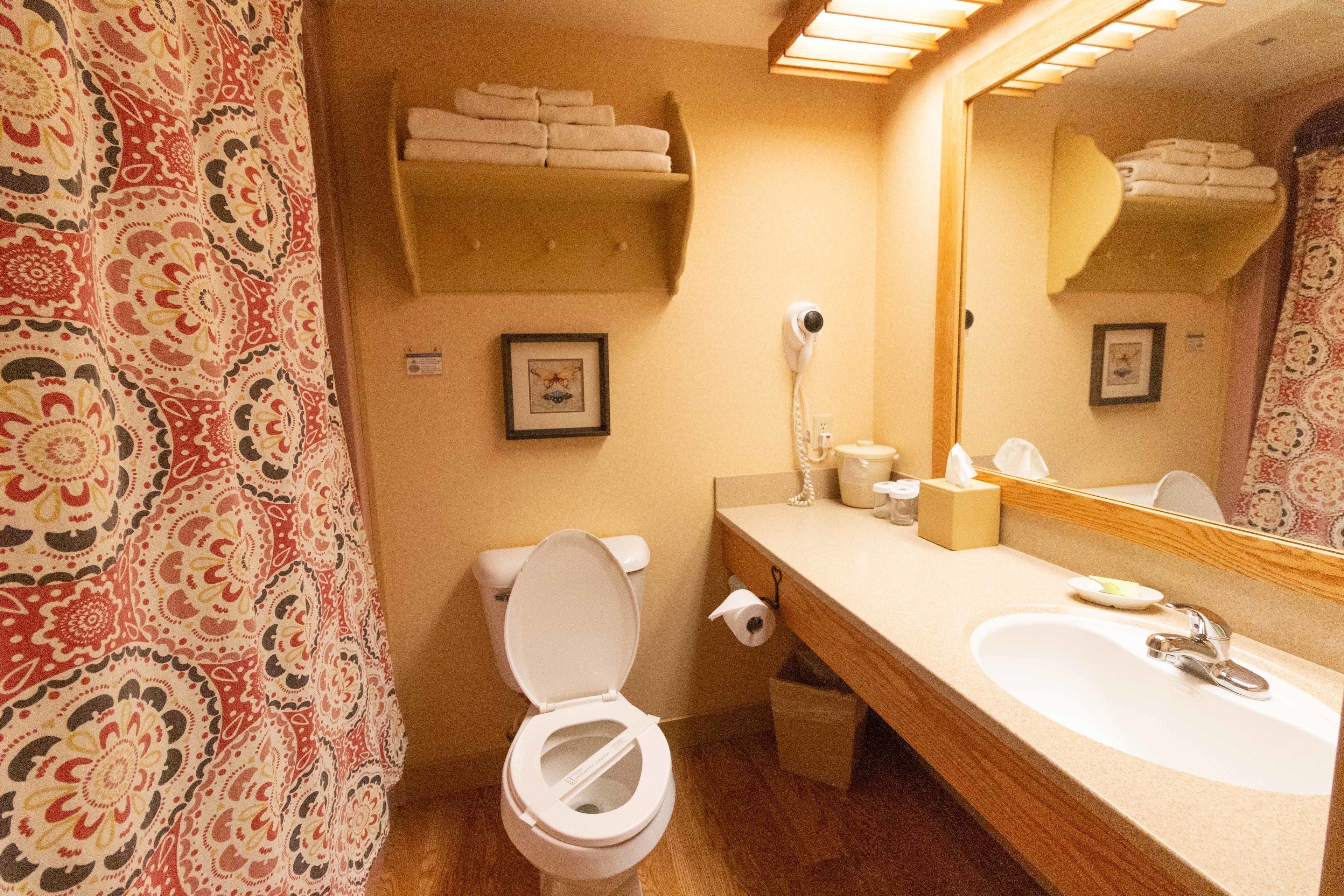 A bathroom with a toilet, sink, and towel rack.