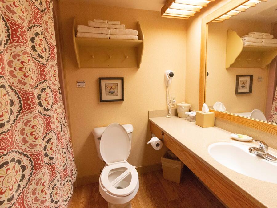 A bathroom with a toilet, sink, and towel rack.