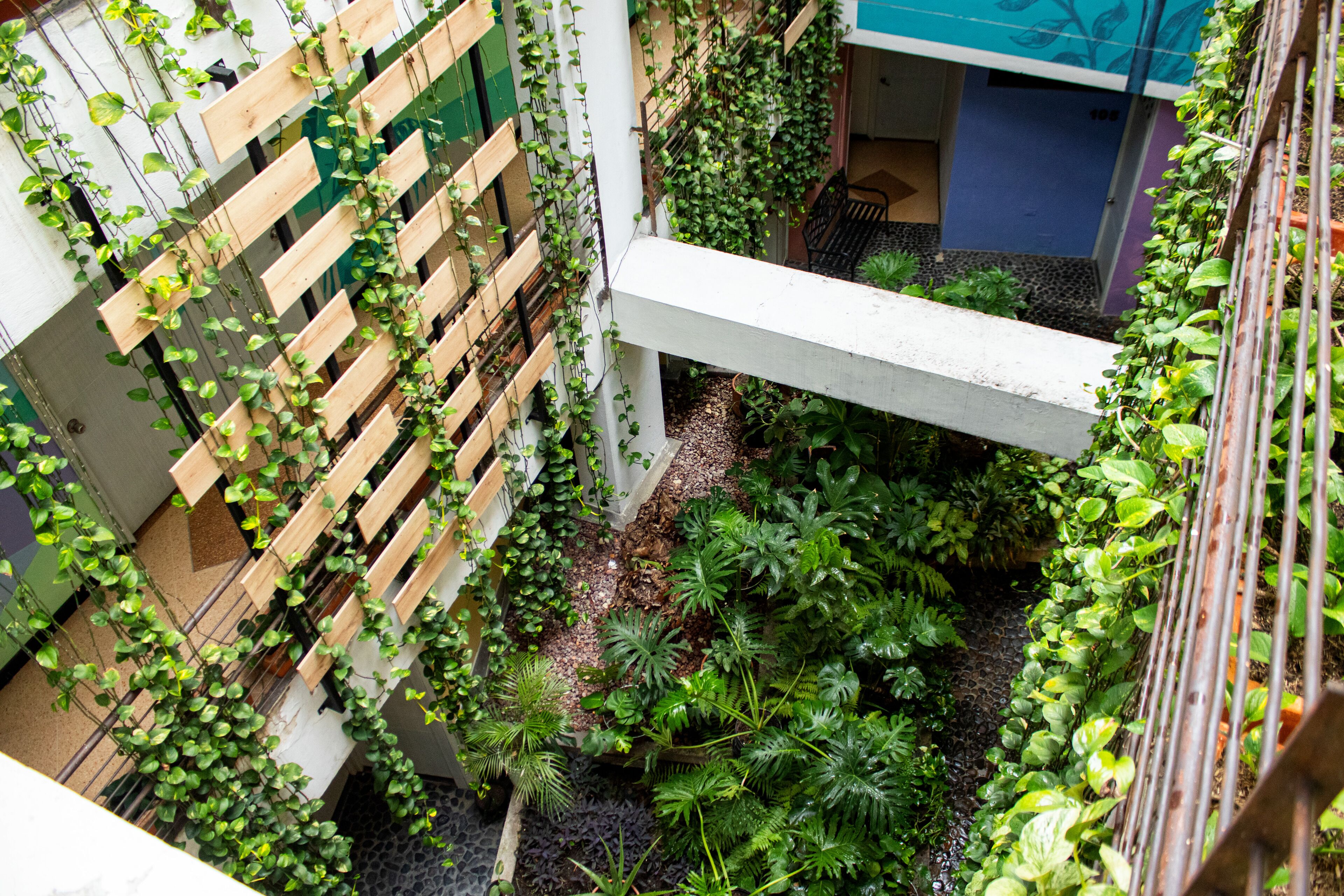 Foto - Hotel Natural Medellin