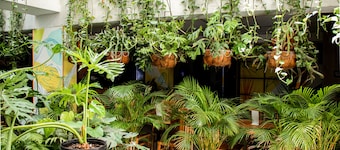 Hotel Natural