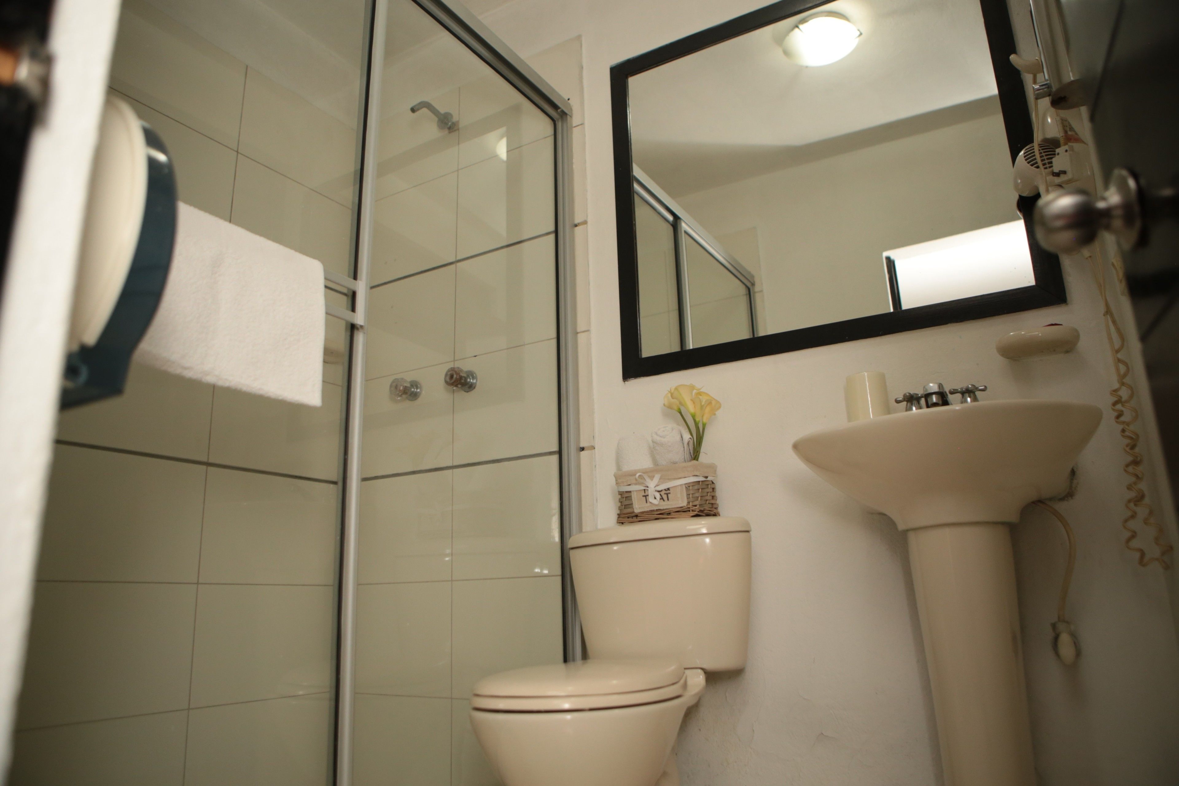 Foto - Hotel Natural Medellin