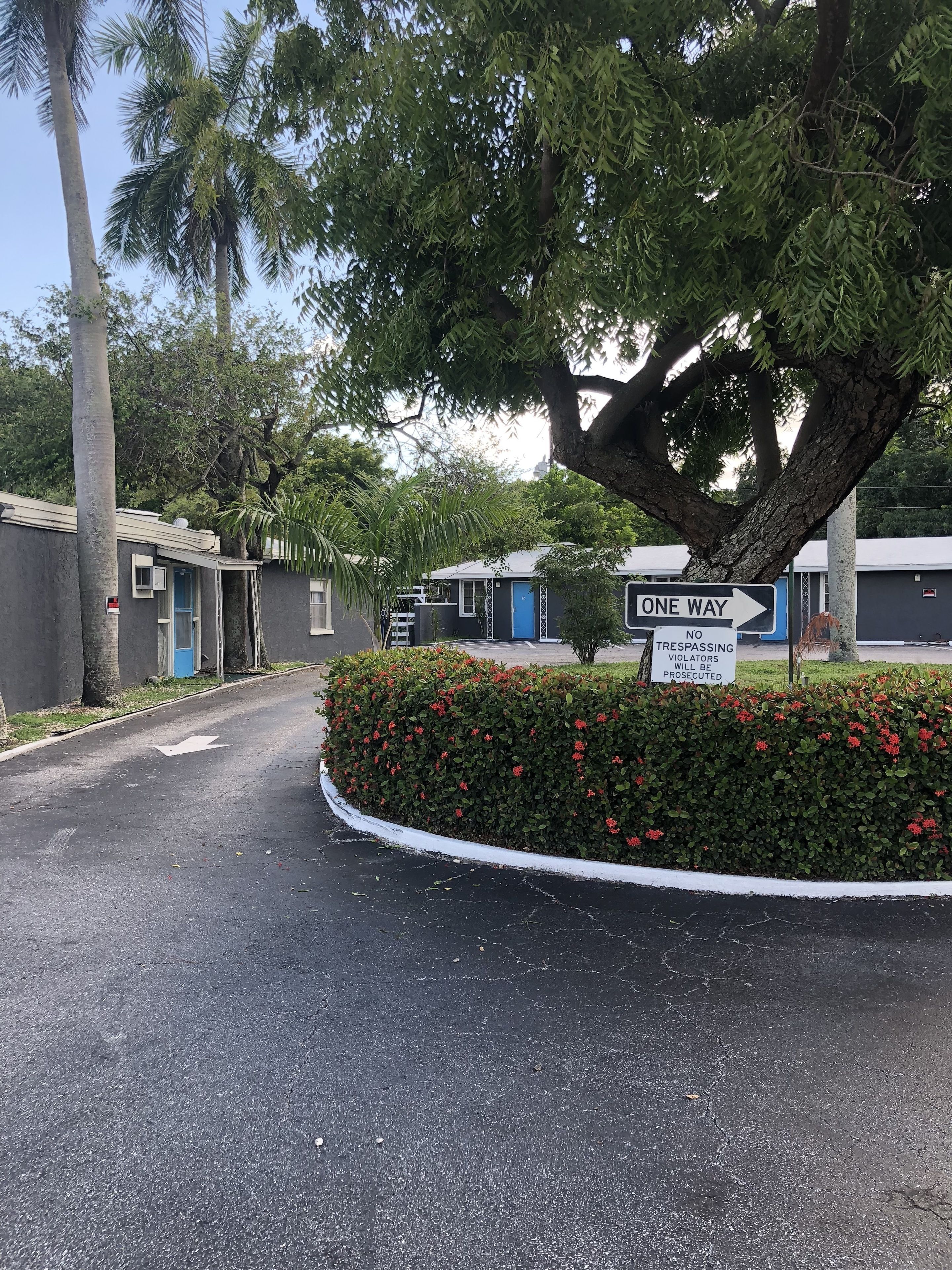 Señal de calle de un solo sentido, un edificio con puerta azul y un seto con flores rojas.