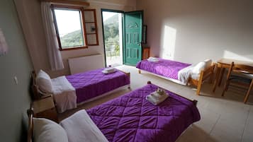 Desk, iron/ironing board, rollaway beds, free WiFi