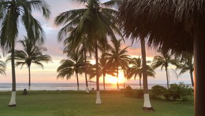 View from property - Villa Tortuga (Zacualpan)