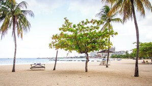A beach with palm trees, a bench, and a building in the background. - Columbus Heights Ocean View Large Studio (Ocho Rios)