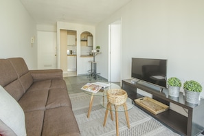 Flat-screen TV