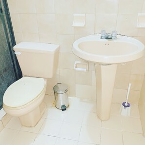Shower, designer toiletries, hair dryer, towels