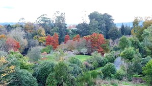 A lush garden with a variety of trees and shrubs, a well-maintained lawn, and a clear view of the surrounding landscape.