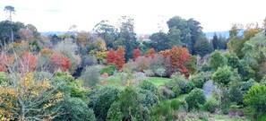 Stroll through a serene garden featuring a diverse collection of trees and shrubs.