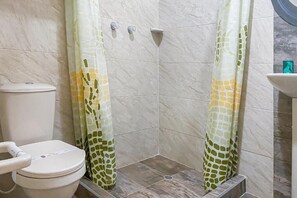 Shower, free toiletries, bidet, towels - Hotel Los Tunjos (Pereira)