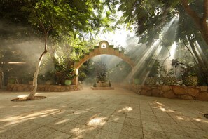 Un sendero arqueado con una fuente central, rodeado de plantas en macetas y árboles, bajo un dosel de hojas.
