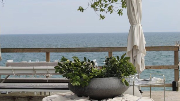 A seaside terrace with a table set for dining, a potted plant, and a view of the ocean.