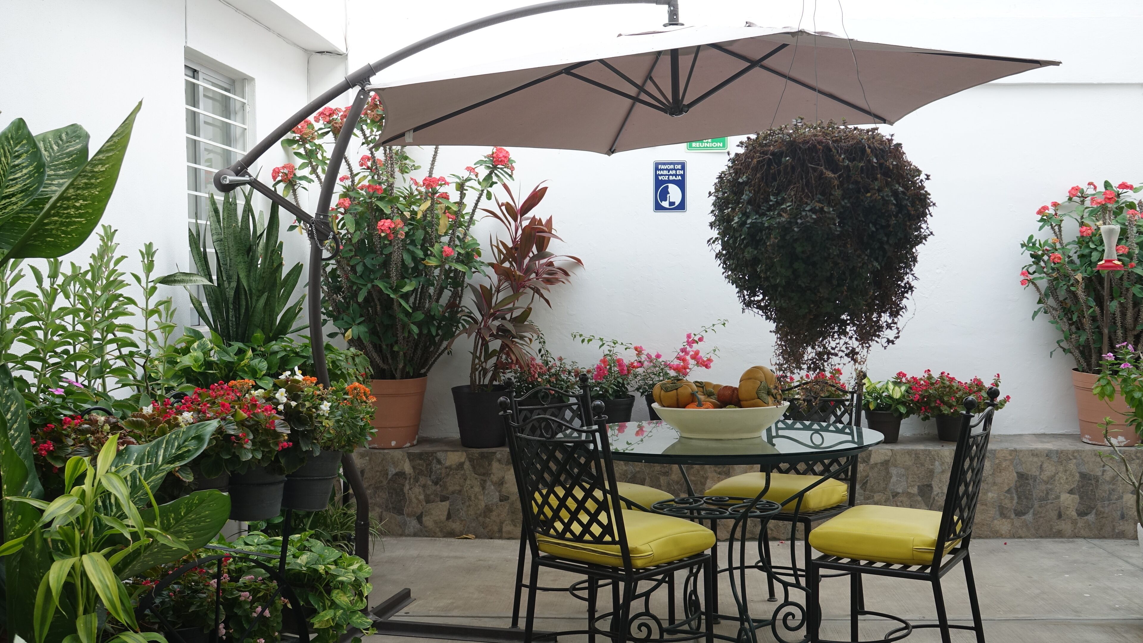 An outdoor patio with a round table, yellow cushioned chairs, and a large umbrella.