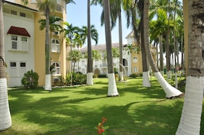 Courtyard - Palm View Villas At Drax hall (Ocho Rios)