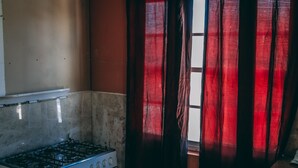 Basic Apartment | Private kitchen | Full-size fridge, stovetop, cookware/dishes/utensils - Willemstad Apartments (Willemstad)