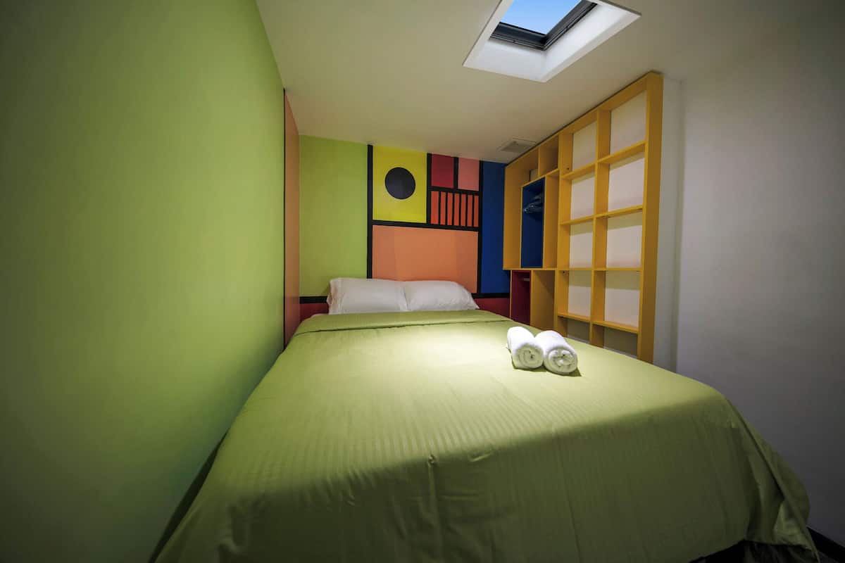 A room with a bed, a skylight, and a built-in wardrobe.