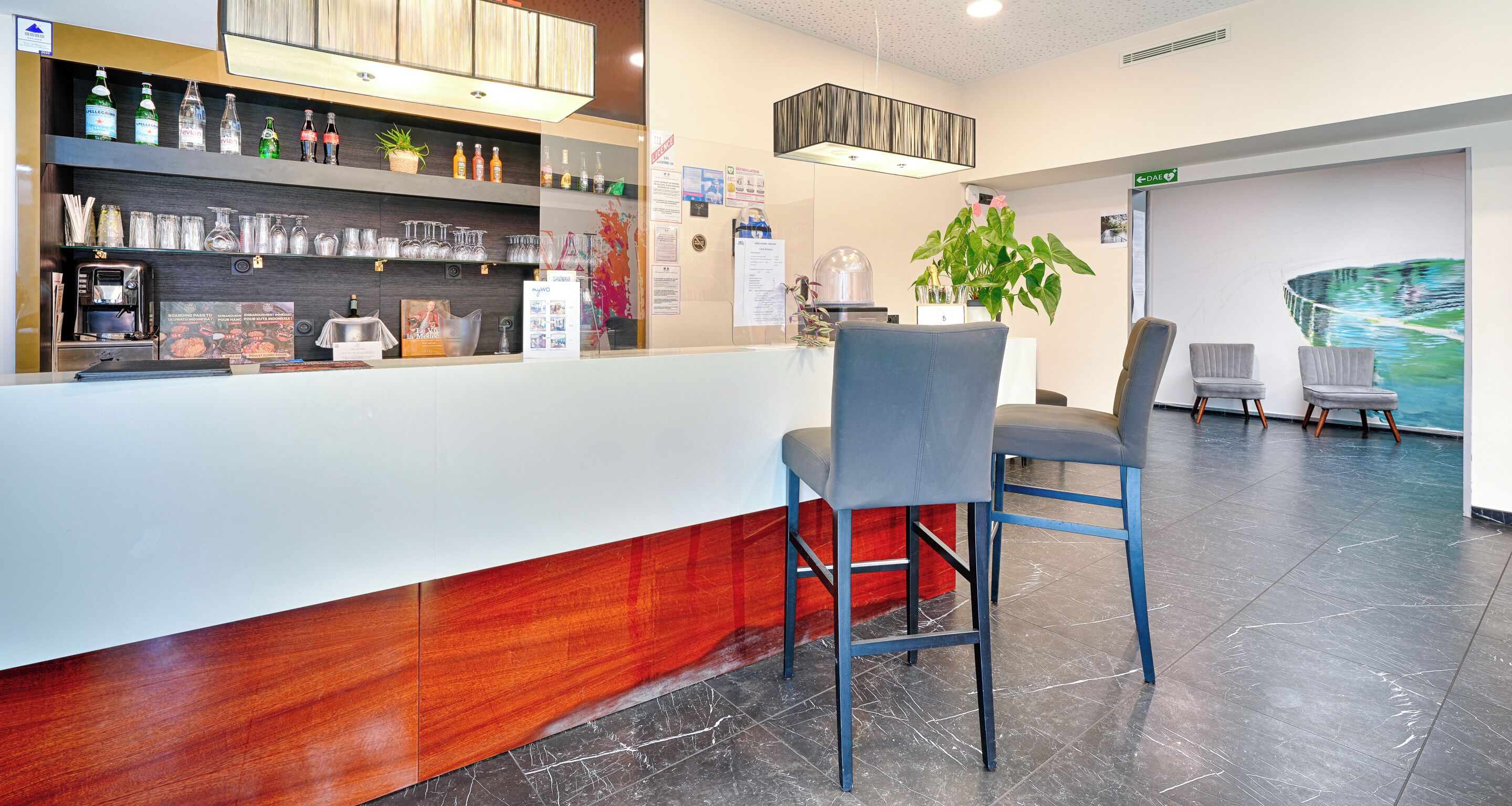 Zona de recepción con mostrador, taburetes, cafetera y una planta en la pared.