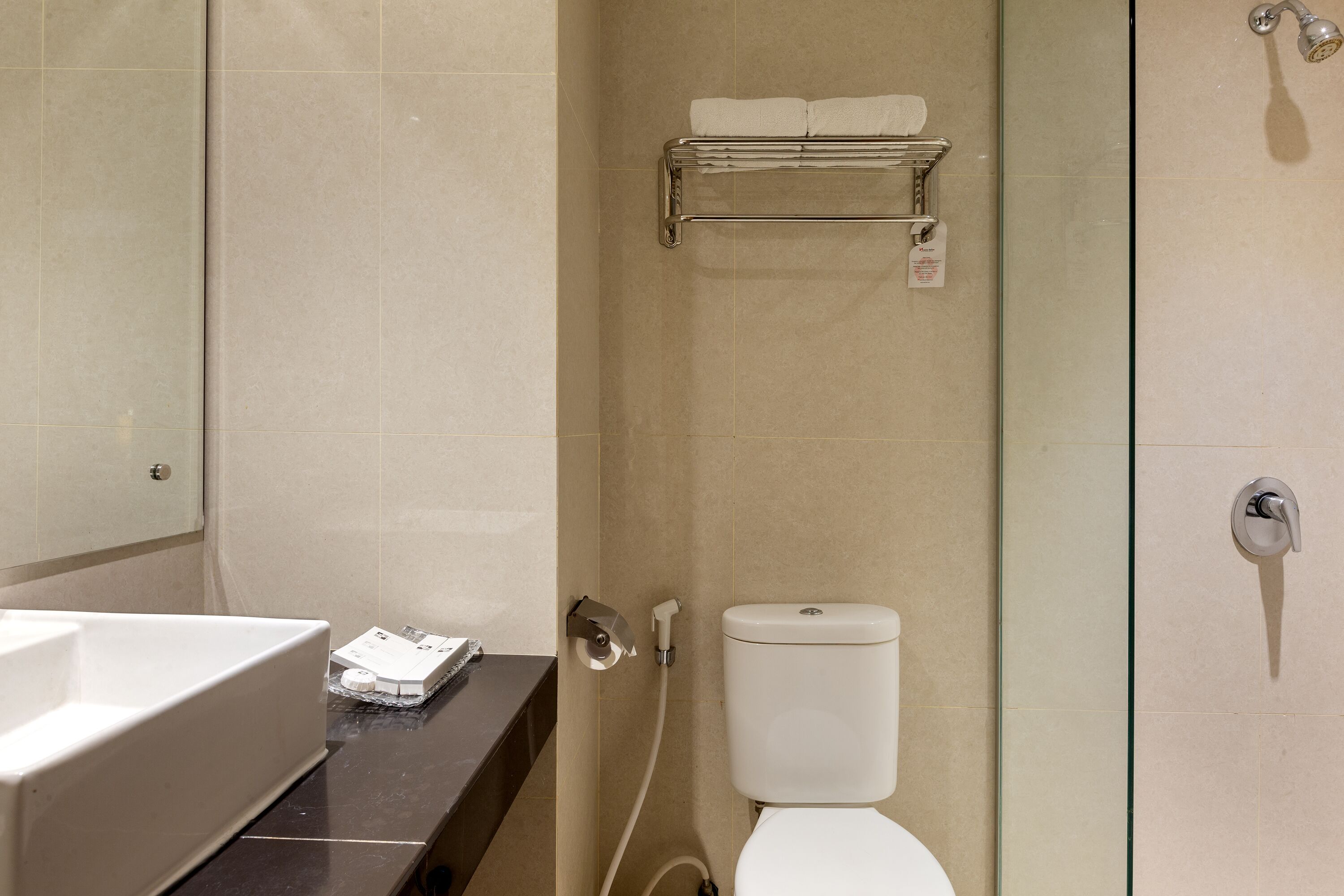 Een badkamer met een witte wastafel, toilet en een douchecabine met glazen wanden.