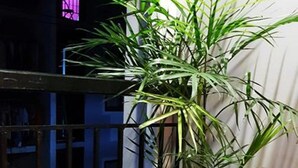 Studio | Balkong