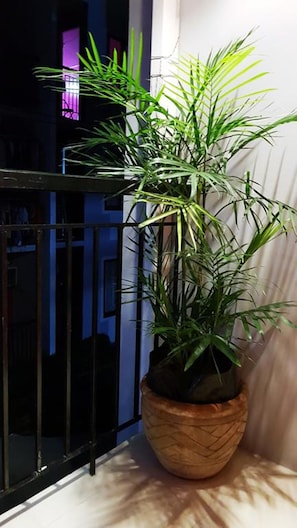 Studio | Balcony