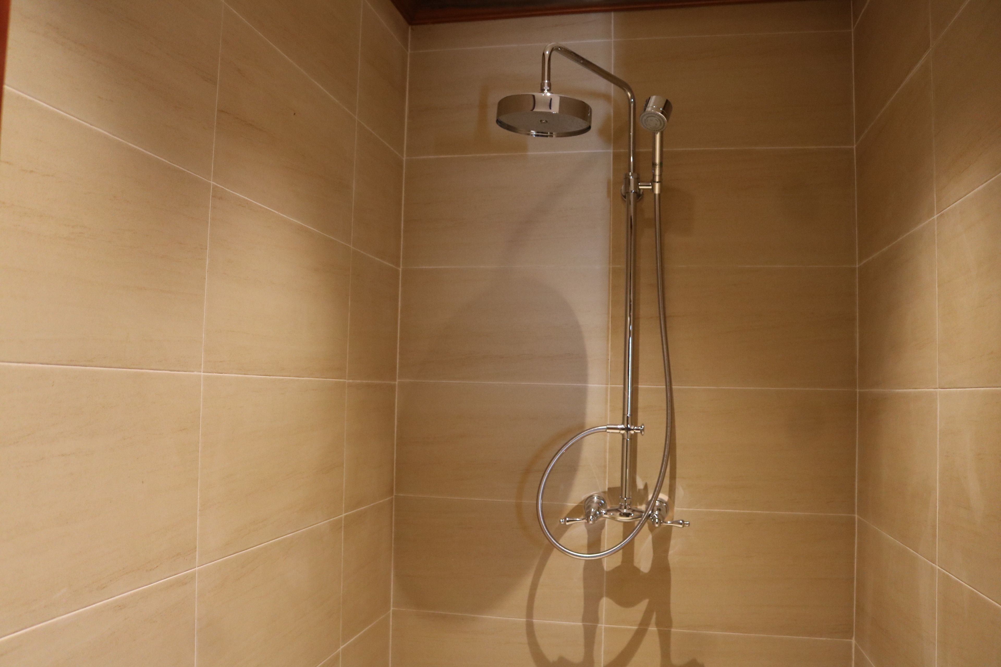 deluxe king suite | bathroom shower