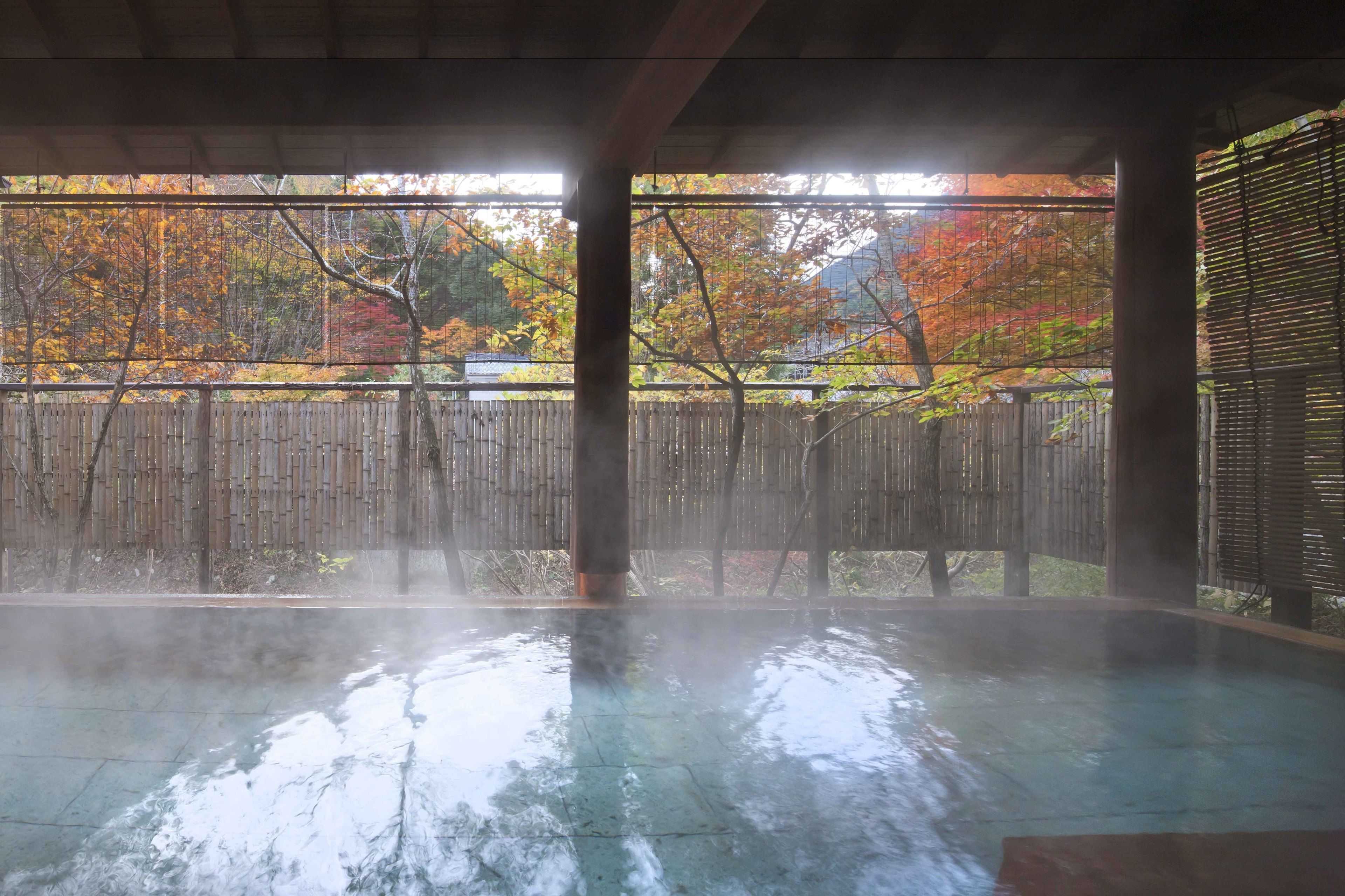 A hot spring area with a wooden fence and trees in the background.