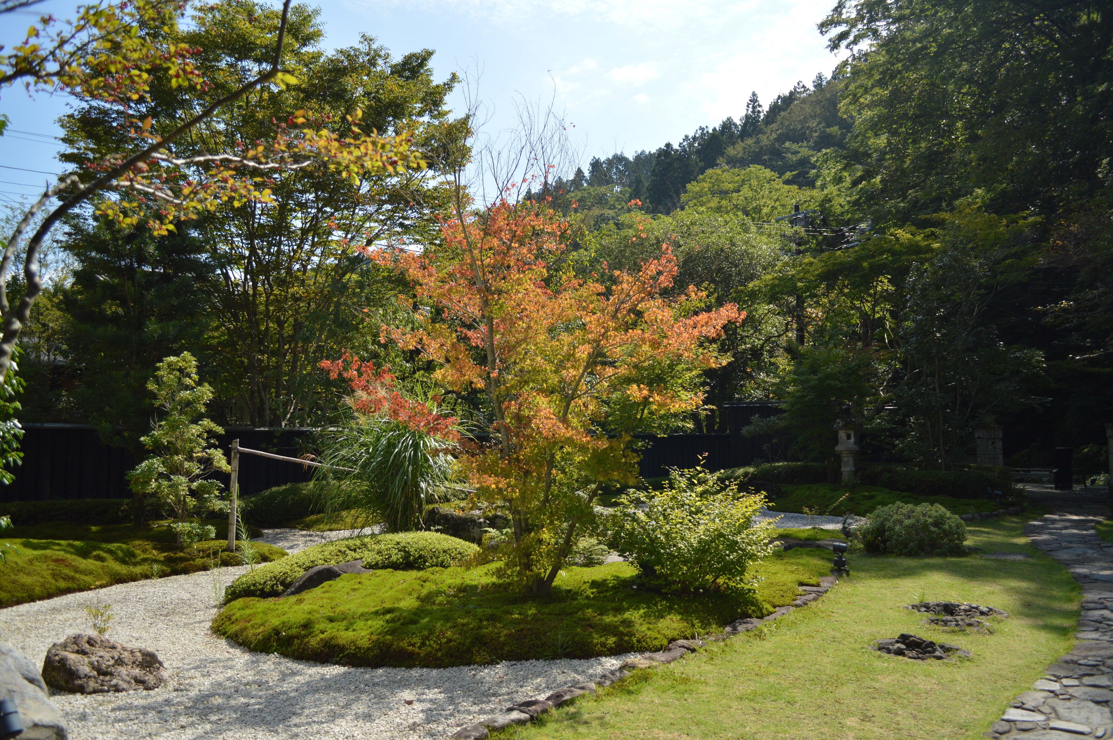 A garden with a central tree, a stone pathway, and surrounding greenery.