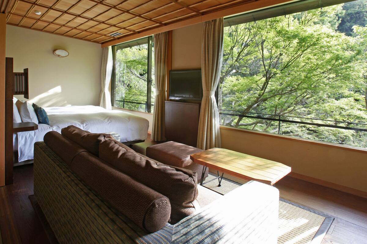 Minibar, in-room safe, blackout drapes, WiFi (free)