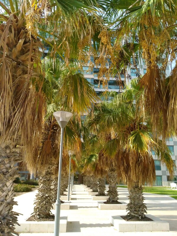 Business Apartment, 3 Bedrooms, Pool Access, Garden Area | Terrace/patio