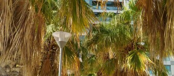 Okeanos ba Marina by Sophie