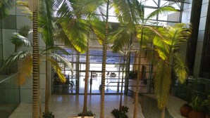 A spacious indoor atrium with a circular wooden bench, palm trees, and a glass wall offering a view of the outside. - Okeanos ba Marina by Sophie (Herzliya)