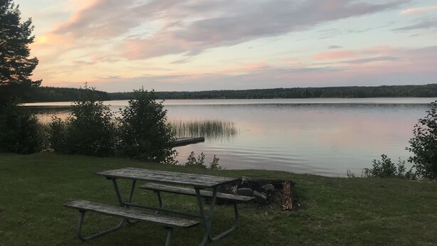 Picnicområde ved søen med et træbord og bænke, omgivet af græs og træer, under en klar himmel.