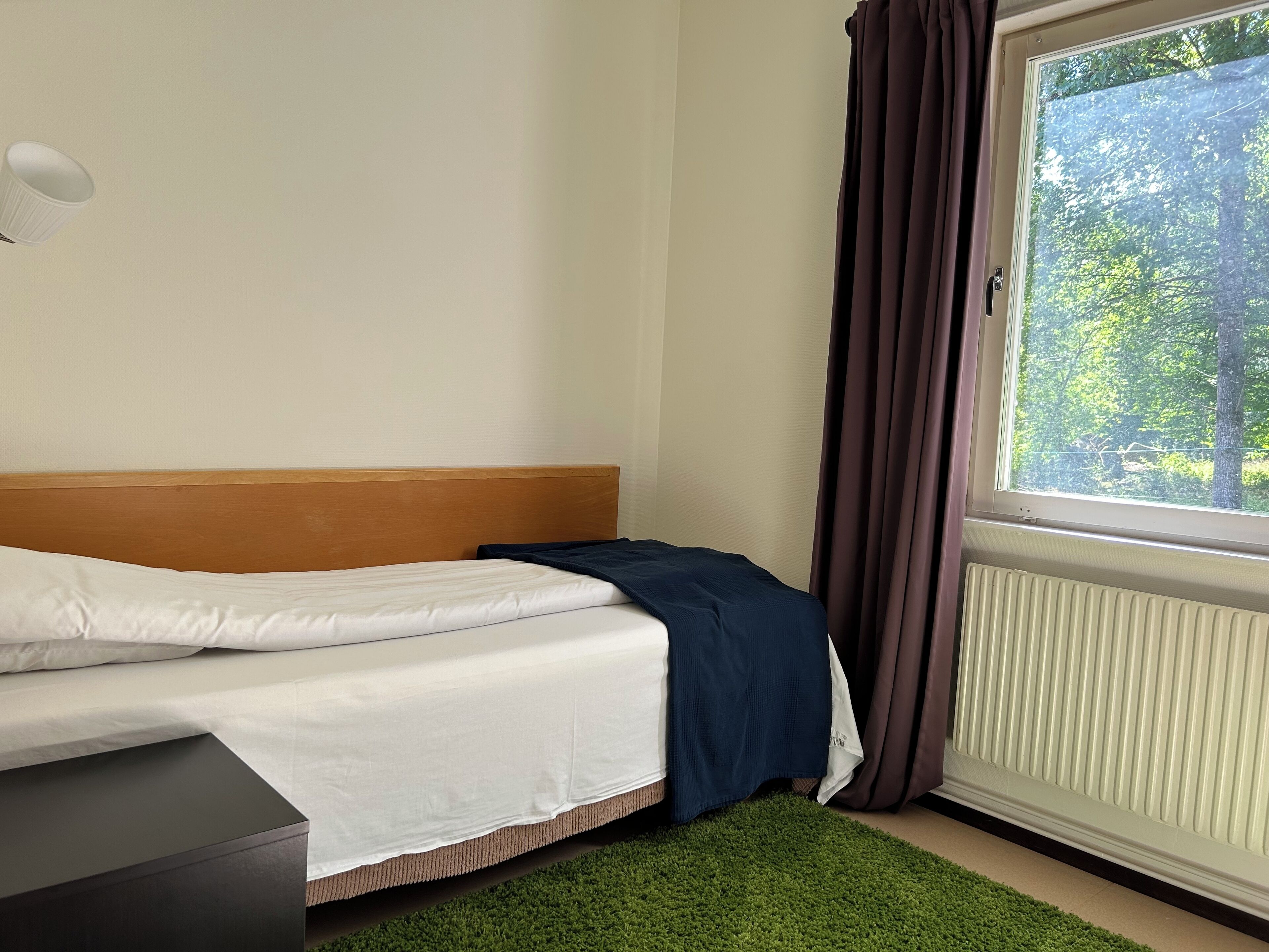 A bedroom with a bed, a window with curtains, a radiator, and a green rug.