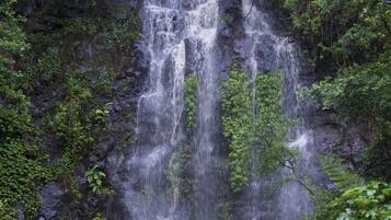 Een waterval die over rotsen stroomt, omgeven door weelderige begroeiing.