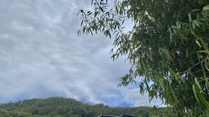 A modern, glass-enclosed structure in a grassy field with a forested hill in the background. - Nimbin Waterfall Retreat (Nimbin)