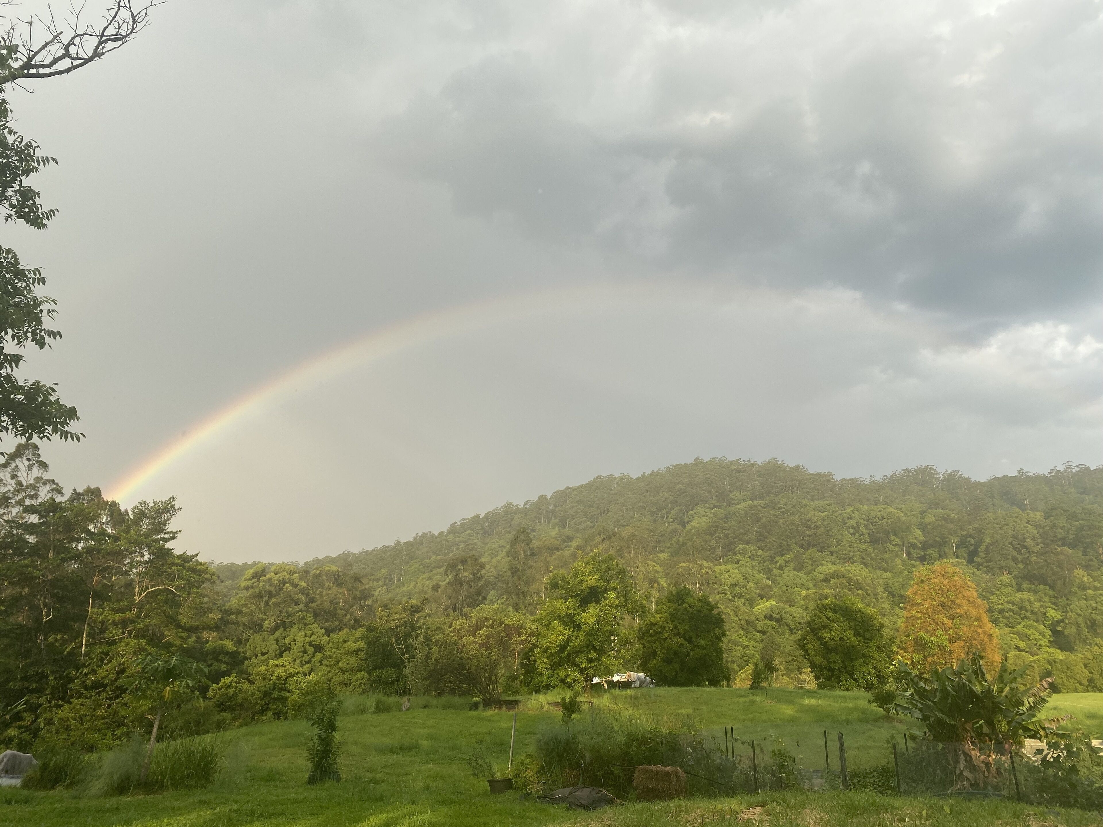 A lush green landscape with a rainbow arching over a hill.