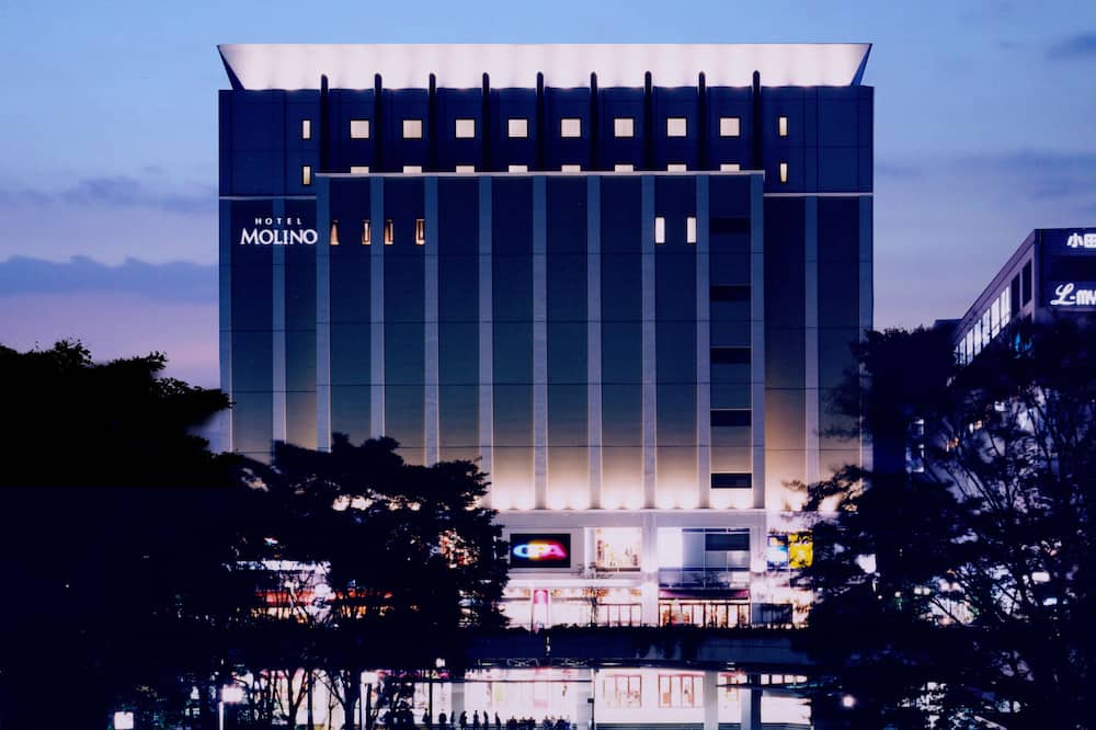 HOTEL MOLINO SHIN - YURI