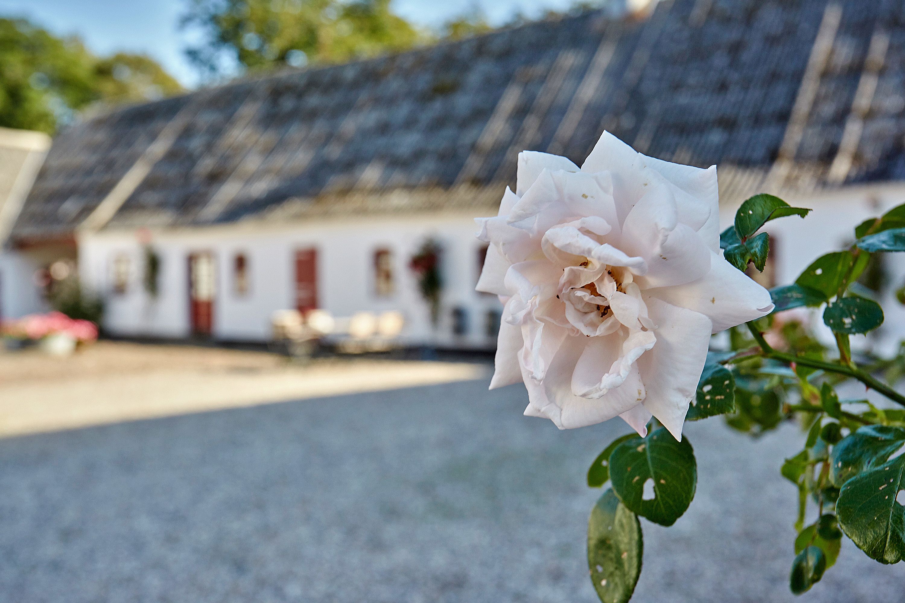 تفاصيل الفندق من الخارج